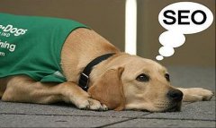 <b>怎么修改网站关键词不会对排名造成影响</b>