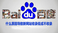 什么原因导致新网站收录低或不收录