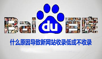 什么原因导致新网站收录低或不收录