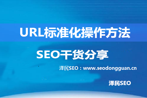 <b>URL标准化操作方法</b>