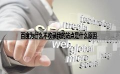<b>百度为什么不收录我的站点是什么原因</b>