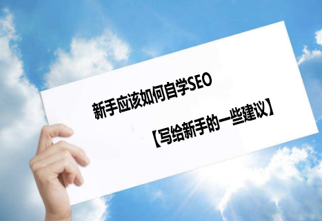 新手应该如何自学SEO