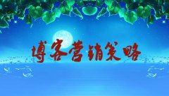 <b>个人博客推的营销策略方案，怎么赚钱</b>