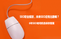<b>SEO职业规划，未来SEO还有出路嘛？</b>