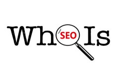 <b>SEO基础教程：如何查看一个域名是否被惩罚过？</b>