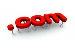 <b>域名购买注意事项有哪些？</b>