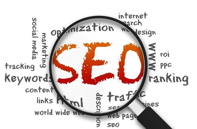 SEO优化技术里的蜘蛛池是什么-