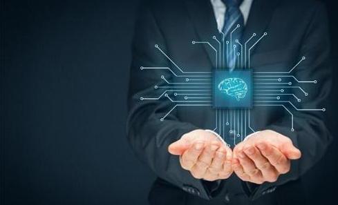 网站设计价格(宠物网站页面设计)