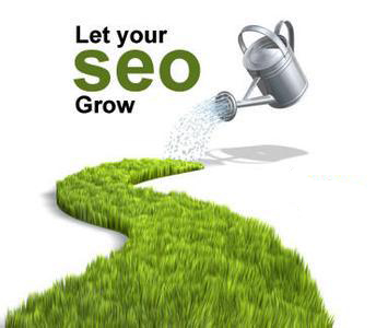 <b>SEO网站内部优化步骤</b>