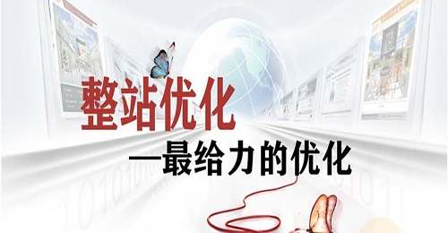 <b>什么是seo整站优化</b>