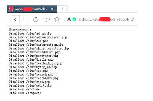 不使用开源程序默认的robots文件