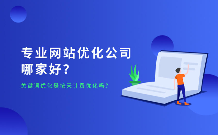 专业网站优化公司