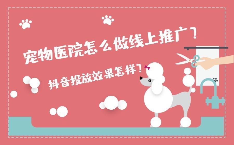 宠物医院线上推广