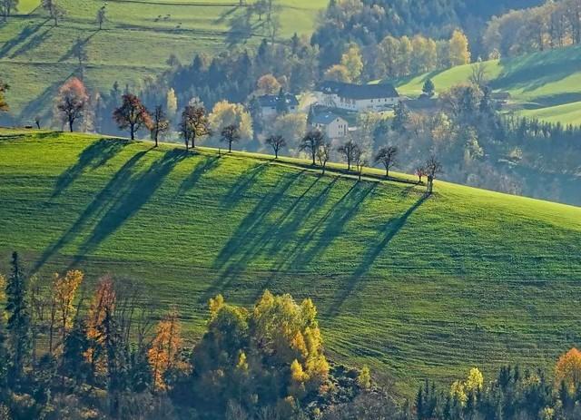 今日头条旅游广告效果