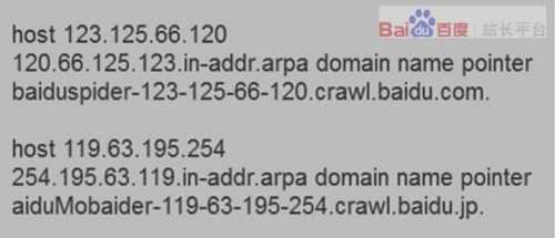 反查IP的方式识别百度蜘蛛