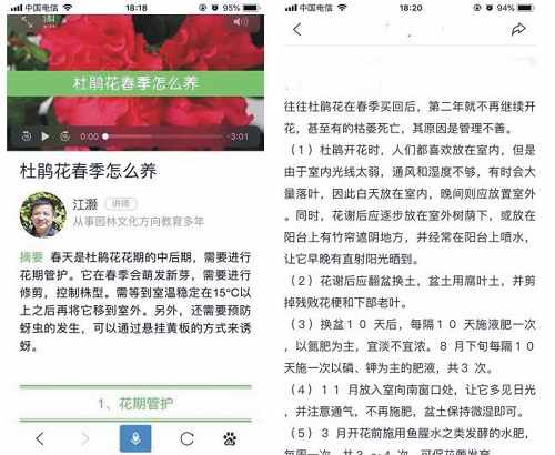 花百科内容页面（上）与普通站点内容页面（下）对比示意图