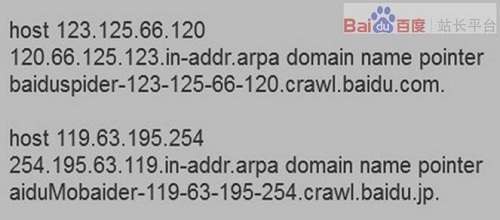 百度蜘蛛识别技巧