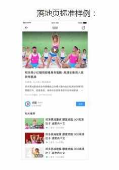 落地页标准样例