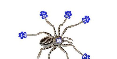 <b>百度Spider提升对CSS和Javacript的抓取能力的公告</b>