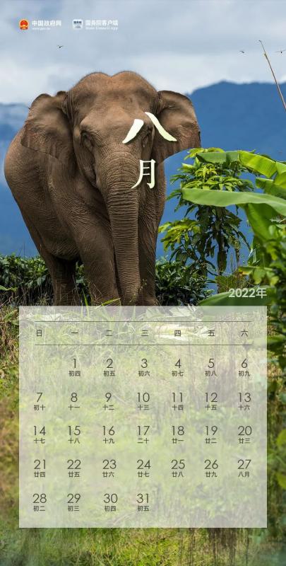 17年暑假放假时间表(17年国庆节放假安排时间表)