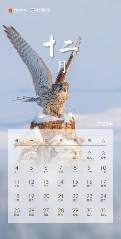 17年暑假放假时间表(17年国庆节放假安排时间表)