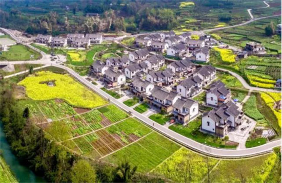 2013地震自救(2013地震伤亡)