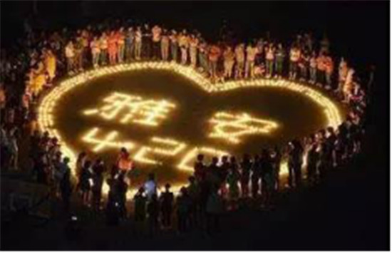 2013地震自救(2013地震伤亡)