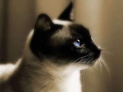 2013年2月8日出生的人(2013年2月8日农历是多少)