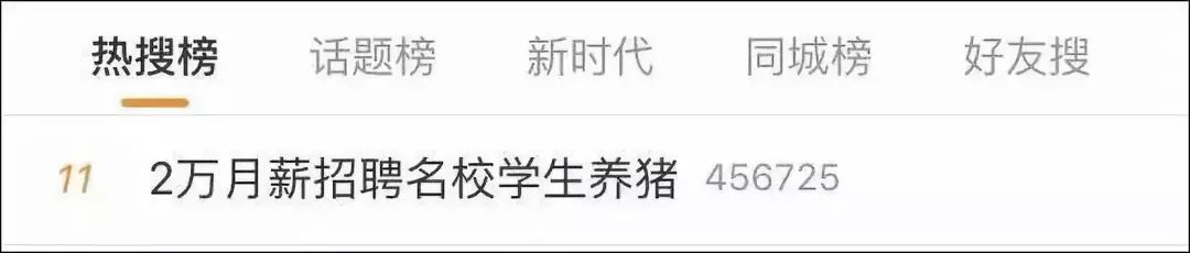 2万元月薪养猪(月薪2万的养猪视频)