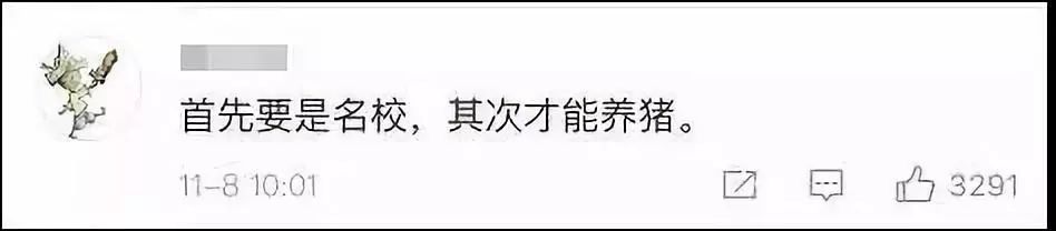 2万元月薪养猪(月薪2万的养猪视频)