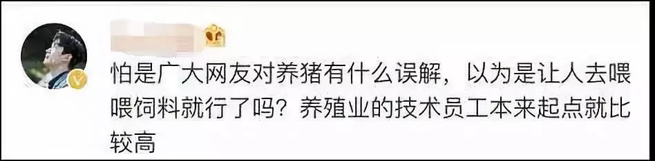 2万元月薪养猪(月薪2万的养猪视频)