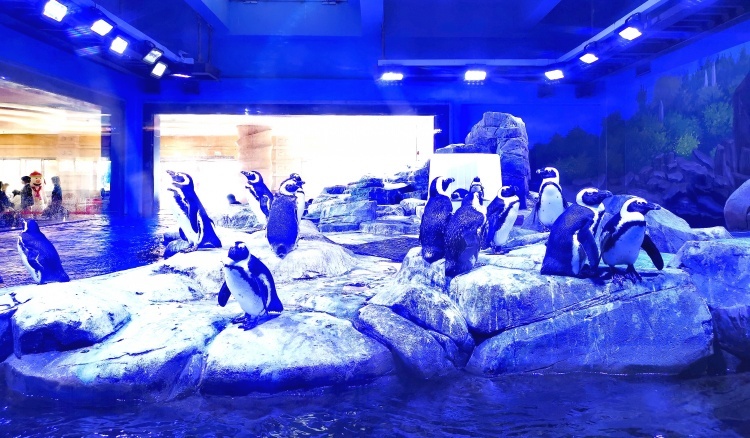 4月25日是什么日子（一文解答 ）