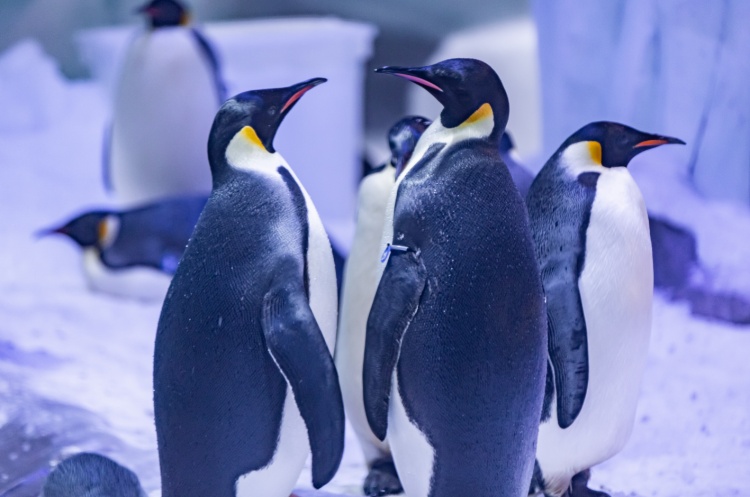 4月25日是什么日子（一文解答 ）