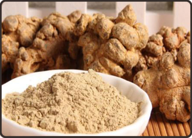 三七有什么功效(三七的功效与作用) 三七有什么功效(三七的功效与作用)