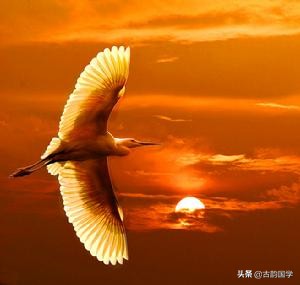 三字成语有哪些(三字成语大全及解析 ) 三字成语有哪些(三字成语大全及解析 )