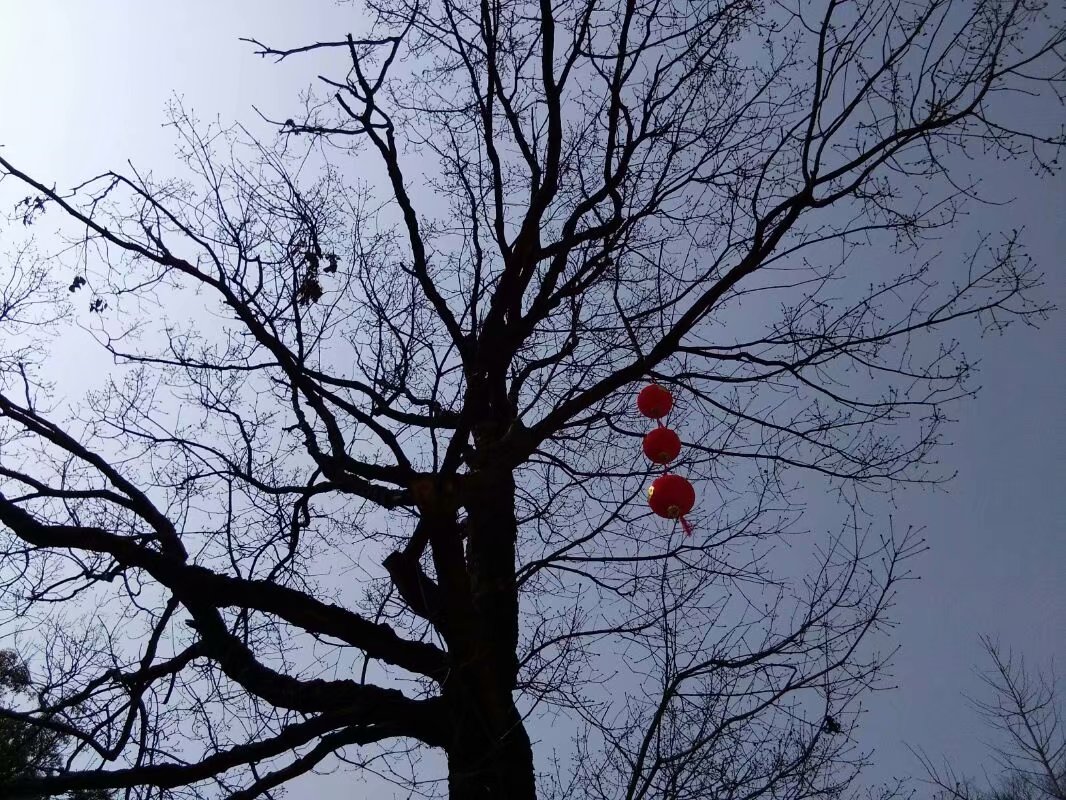 个人合作建房如何合法(个人合作建房协议书) 个人合作建房如何合法(个人合作建房协议书)