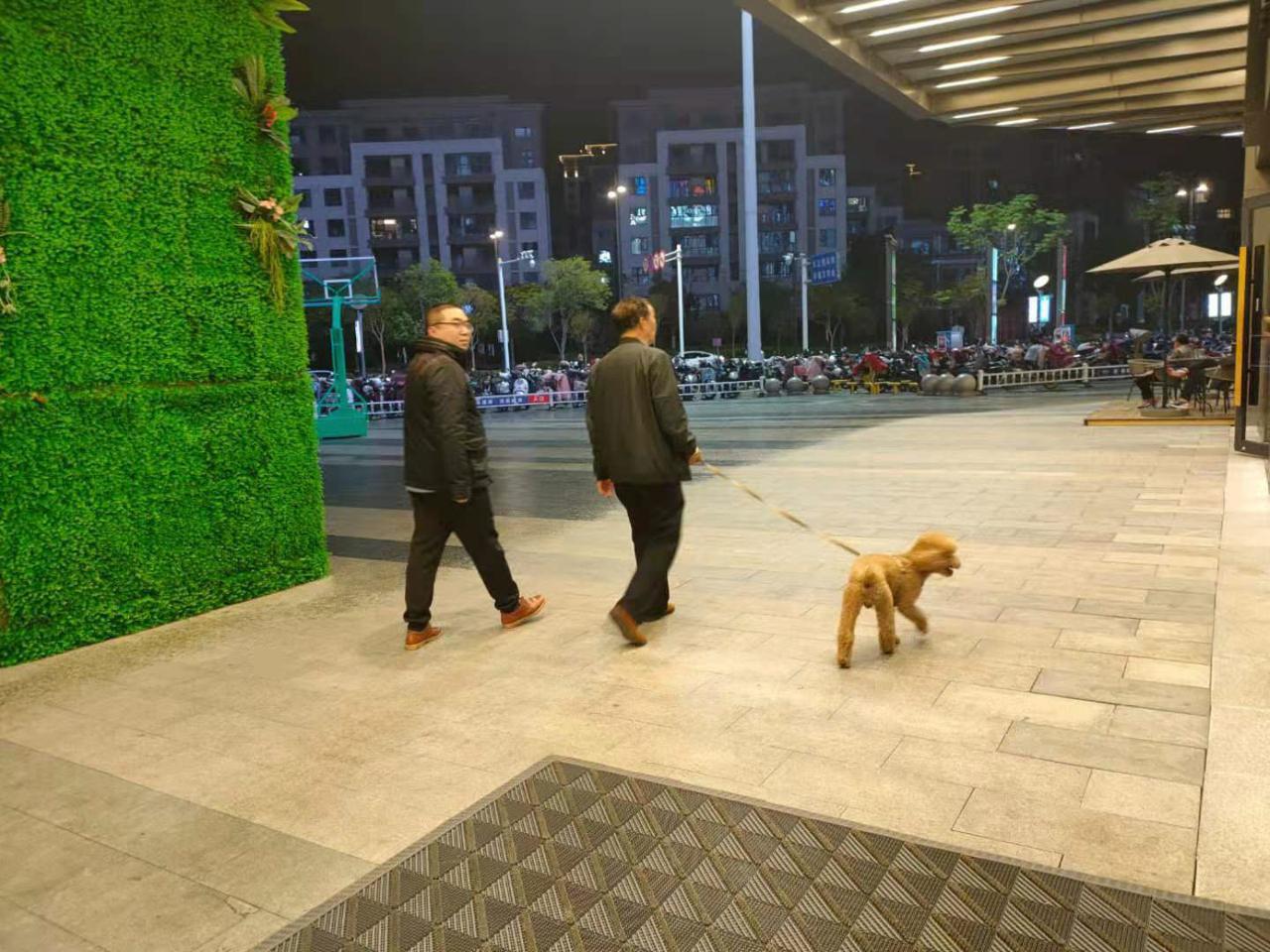 五月一日天气(五月一日起遛狗不拴绳违法) 五月一日天气(五月一日起遛狗不拴绳违法)