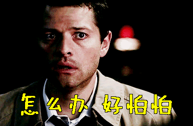 仙人掌可以防电脑辐射吗(仙人掌能防止电脑辐射吗) 仙人掌可以防电脑辐射吗(仙人掌能防止电脑辐射吗)