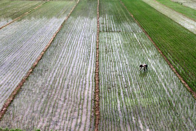 企业自主经营(企业自主经营权有哪些)
