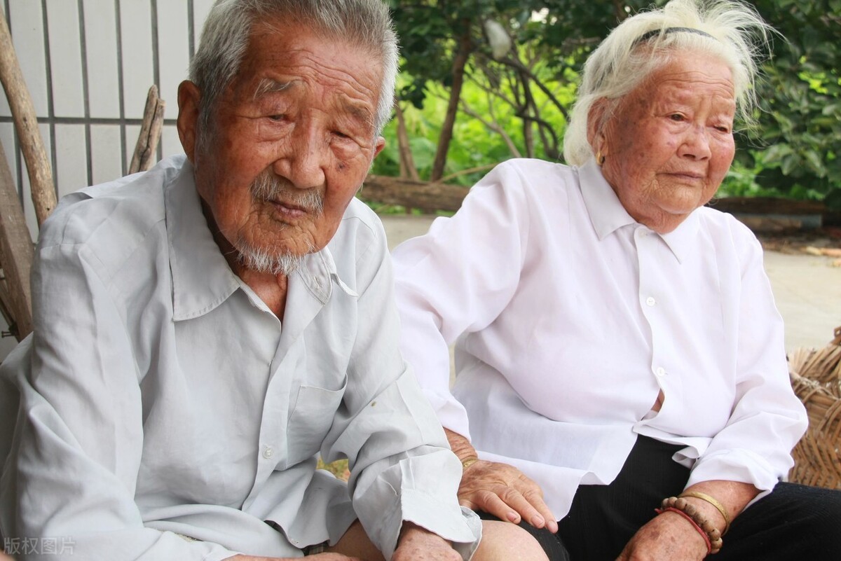 伉俪是什么意思(伉俪的通俗解释) 伉俪是什么意思(伉俪的通俗解释)