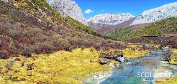 227国道最新路况查询(227路公交车路线) 227国道最新路况查询(227路公交车路线)