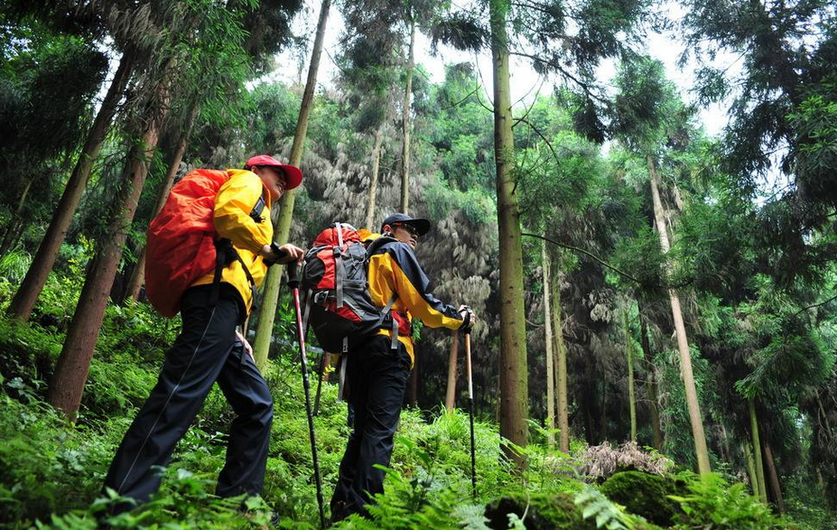 37度2算发烧吗没有不舒服(37度2算发烧吗浑身酸痛) 37度2算发烧吗没有不舒服(37度2算发烧吗浑身酸痛)