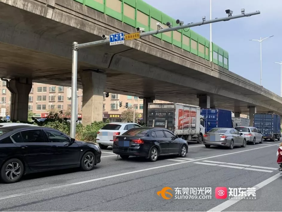 东莞阳光网违章查询 东莞阳光网违章查询