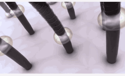 丝蕴无硅油洗发水多少钱一瓶(丝蕴洗发水多少钱效果怎么样) 丝蕴无硅油洗发水多少钱一瓶(丝蕴洗发水多少钱效果怎么样)