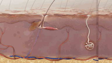 丝蕴无硅油洗发水多少钱一瓶(丝蕴洗发水多少钱效果怎么样) 丝蕴无硅油洗发水多少钱一瓶(丝蕴洗发水多少钱效果怎么样)