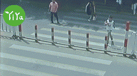 交通规则知识儿童版(交通规则知识) 交通规则知识儿童版(交通规则知识)