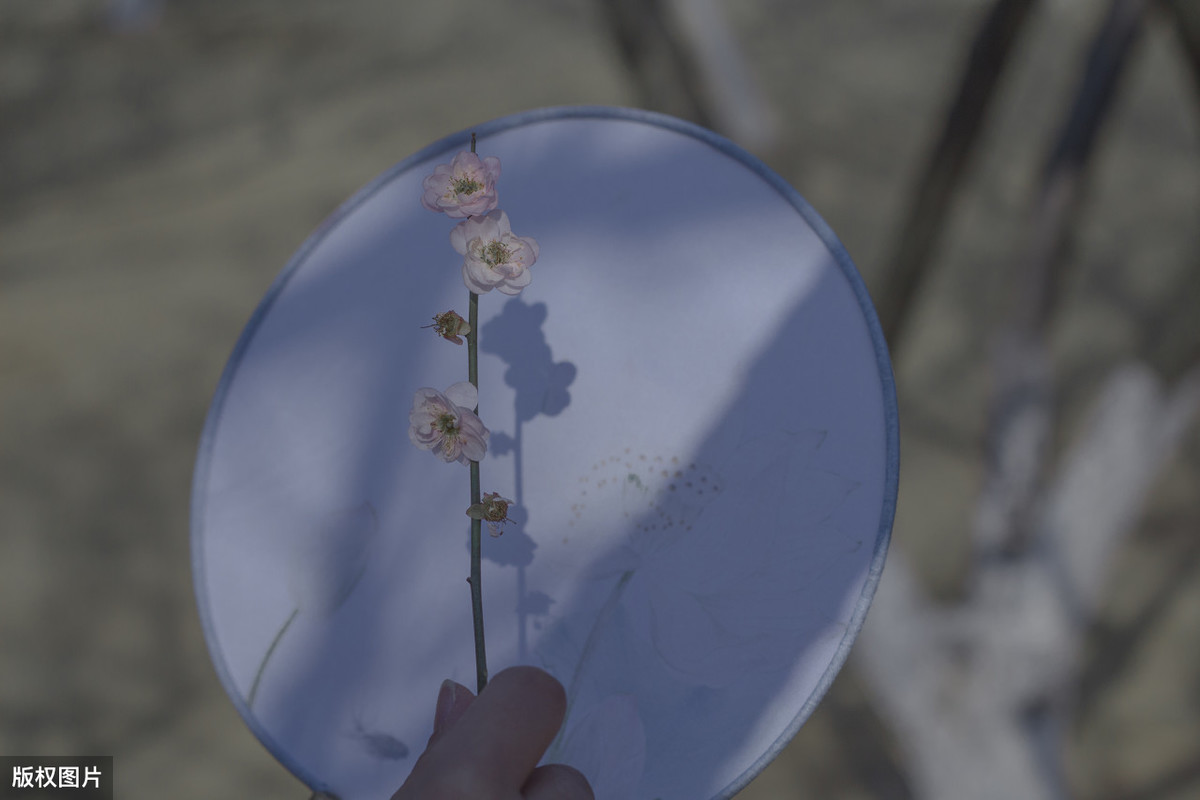 一个人心累无助的说说古文(一个人心累无助的说说男人) 一个人心累无助的说说古文(一个人心累无助的说说男人)