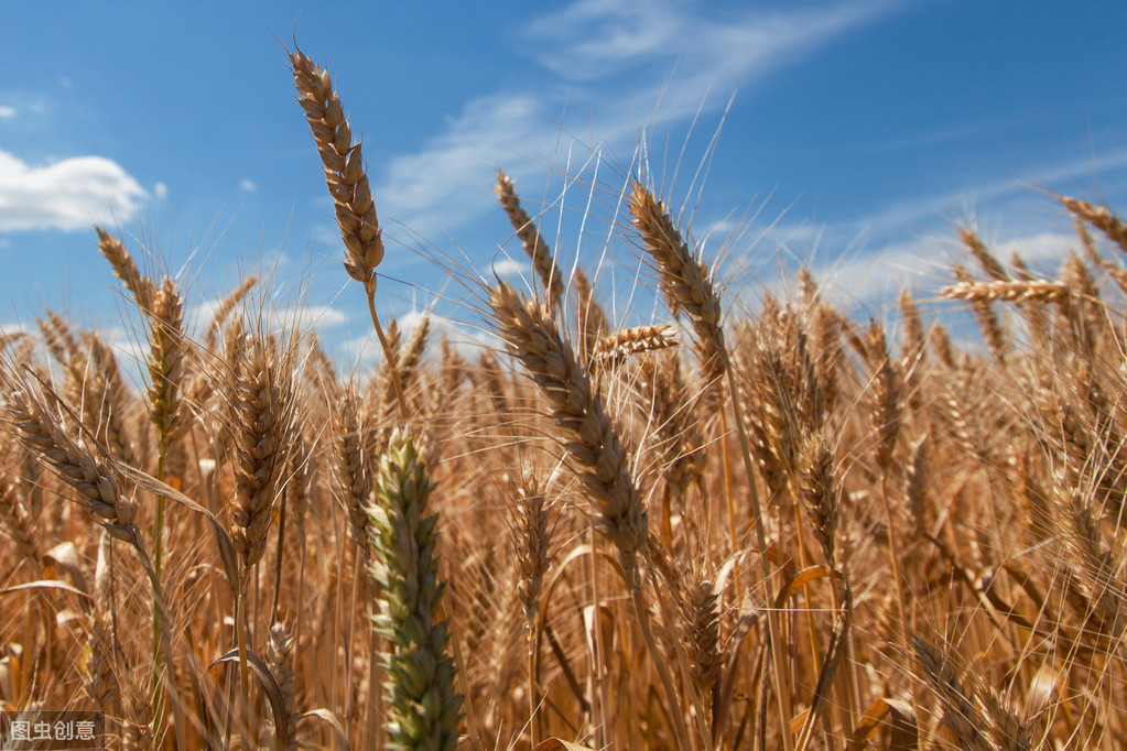 一个小山村的故事原文(一个小山村的故事课文原文) 一个小山村的故事原文(一个小山村的故事课文原文)