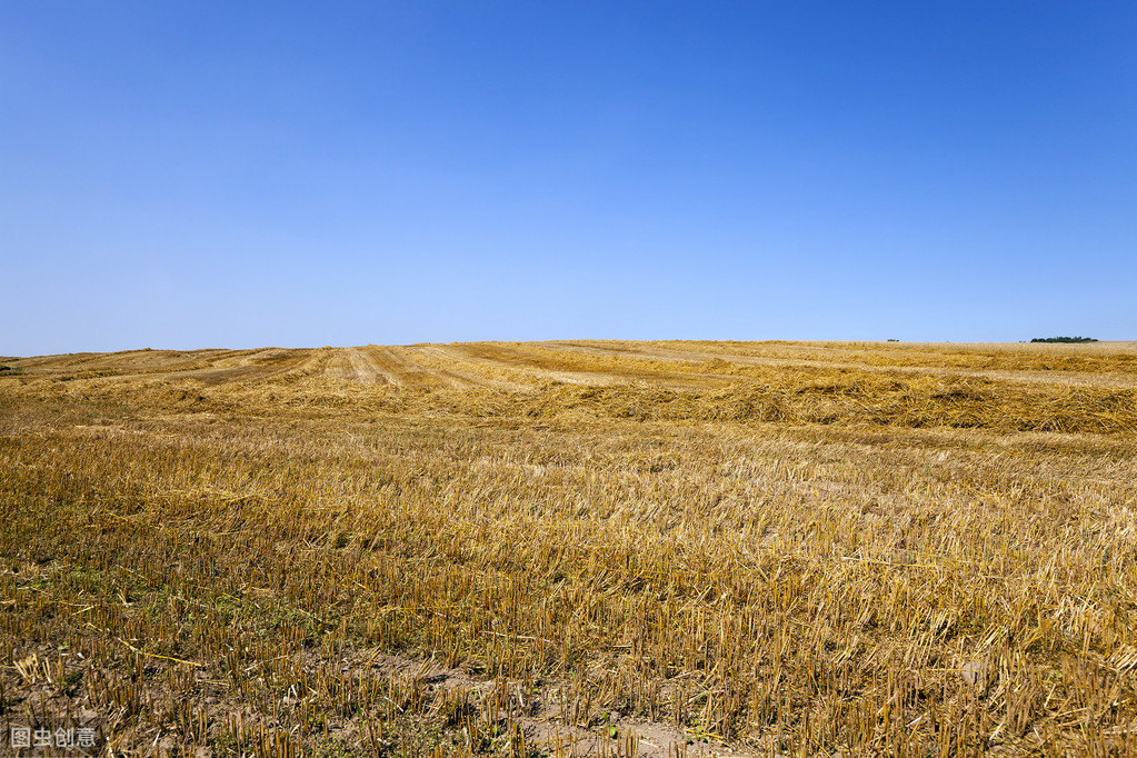 一个小山村的故事原文(一个小山村的故事课文原文) 一个小山村的故事原文(一个小山村的故事课文原文)