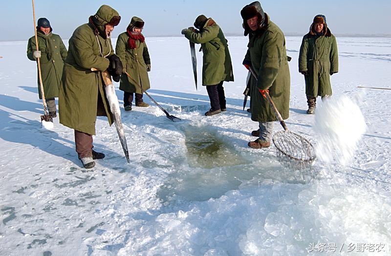 一九二九不出手三九四九冰上走五九六九 一九二九不出手三九四九冰上走五九六九